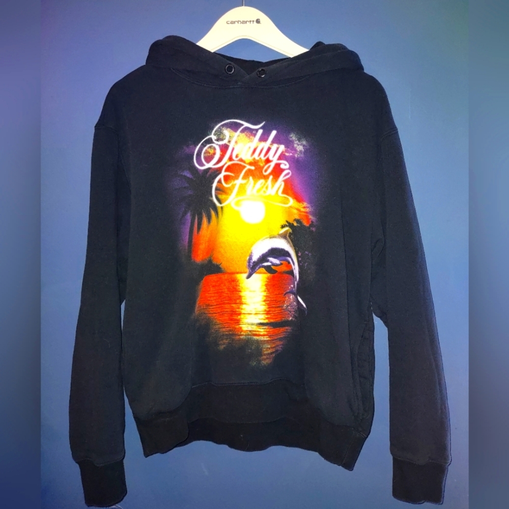 Teddy Fresh Dolphin Sunset Hoodie - size small